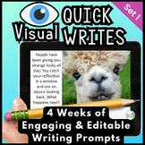 Writing Prompts - Visual Quick Writes Set 1