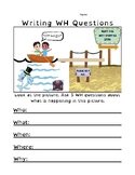 Writing Questions using WH Words 2