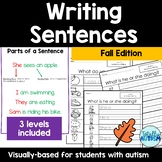 Writing Sentences (Fall)