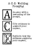 Writing Strategy: A.C.E. Poster or Handout