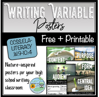 Preview of Writing Variables Posters