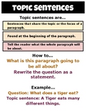 Writing a Topic Sentence- Anchor Chart and Worksheet Practice