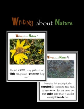 Preview of Writing about Nature - Narrative Writing