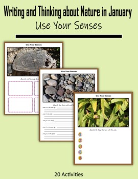 Preview of Writing and Thinking about Nature in January (Use Your Senses)