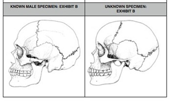 Preview of Written In Bone - A Cold Case Approach To Sexual Dimorphism