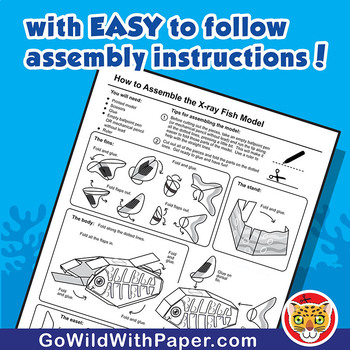 X-Ray Fish Craft Activity | 3D Paper Model by Go Wild with Paper