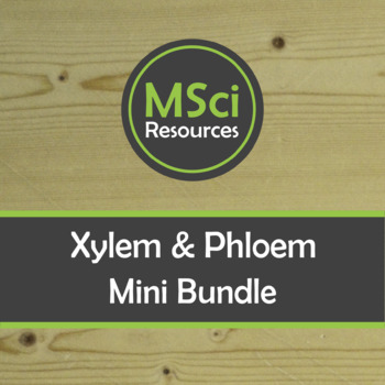 Preview of Xylem Phloem Tissue Plant Biology BUNDLE PowerPoint Doodle Sheets Visual Notes
