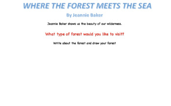 Preview of YEAR 1- LITERACY (Where the Forest Meets the Sea- By Jeannie Baker)