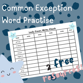 Preview of YEAR 2/1st Grade: Look, Cover, Write, Check - Common Exception Words Bundle