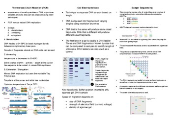 Preview of Year 12 ATAR Biotechnology Techniques (PCR, Gel Electro and Sanger Sequencing)