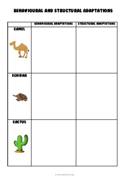 Plants And Adaptations Worksheets Teaching Resources | TPT