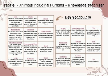 Preview of Year 6 Science (Animals Inc Humans) Knowledge Organiser with End Of Unit Quiz