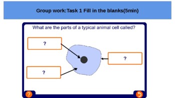 year 7 6th grade worksheets biology cells by ying hua tpt