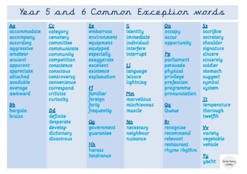 Preview of Year Five & Year Six Common Exception Word Mat