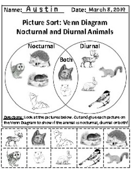 Year Long Activities: 30 Graphing Picture & Text Sort Activities ...