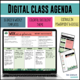 Daily & Weekly Agendas Google Slide & PowerPoint  - SUCCUL