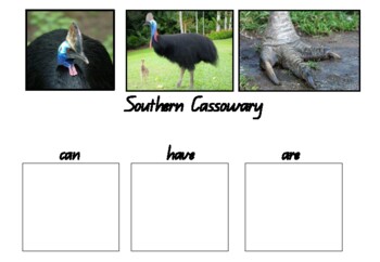 Year Two Life Cycles/INformation Report - Southern Cassowary | TpT