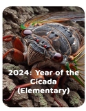 Year of the Cicada (Elementary Version)