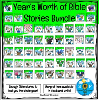 Preview of Bible Stories for One Year with a Bonus Bible Story