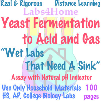 Preview of Labs4Home Yeast Fermentation to Acid and Gas Lab