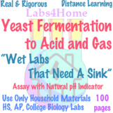 Labs4Home Yeast Fermentation to Acid and Gas Lab