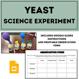 Yeast Science Experiment