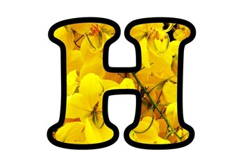 Preview of Yellow Flower Bulletin Board Letters Numbers & Symbols, Amaltas Flower Alphabhet