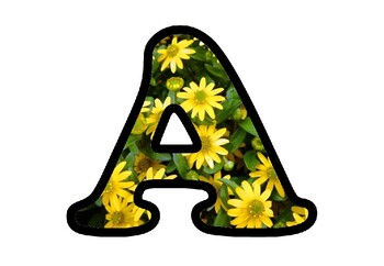 Preview of Yellow Flowers Bulletin Board Letters, Numbers, Symbols, Spring Alphabets