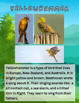 Preview of Yellowhammer Book