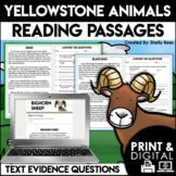 Yellowstone Animals Reading Passages | Yellowstone Nationa