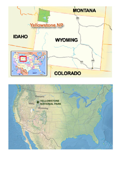 yellowstone national park word search by steven s social studies