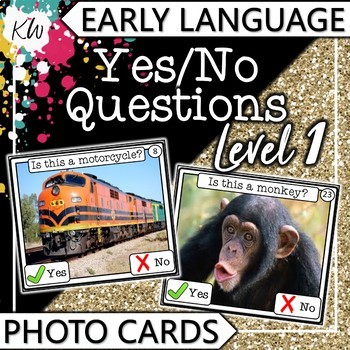 Preview of Yes No Questions (Speech Therapy, Autism, Special Education, etc.) 30 Flashcards