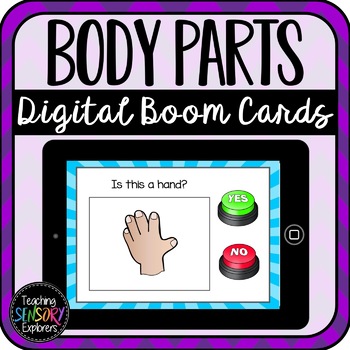 Preview of Yes/No Questions: Body Parts Boom Cards (Distance Learning)