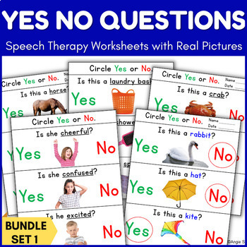 Preview of Yes No Questions Speech Therapy Worksheets with Visuals Autism Sped Set 1