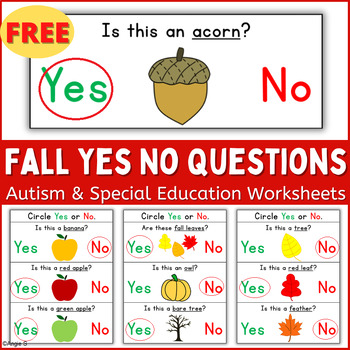 Preview of Yes No Questions Worksheets | Speech Therapy Fall Activity with Visuals FREE