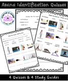 Yoga Asana Identification Study Guides and Quizzes