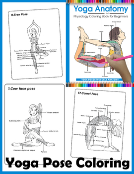 Preview of Yoga Pose Coloring Book Pages Easy Cards Learning Movement Muscle