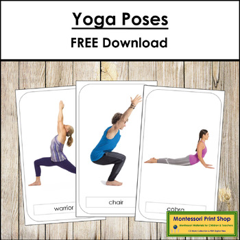 yoga poses teaching resources teachers pay teachers