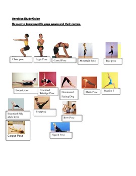 Preview of Yoga pose and muscle study guide