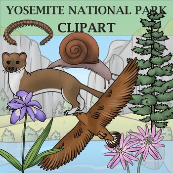 Preview of Yosemite National Park Clipart - Plants and Animals of the National Parks