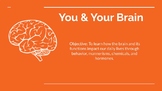 You & Your Brain PPT