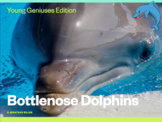 Young Geniuses: Bottlenose Dolphins - Online Learning
