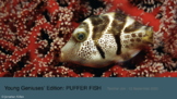 Young Geniuses: Pufferfish - Online Learning