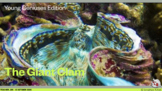 Young Geniuses: The Giant Clam - Online Learning