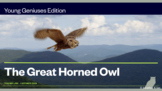 Young Geniuses: The Great Horned Owl - Online Learning