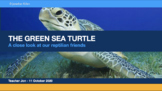 Young Geniuses: The Green Sea Turtle - Online Learning