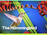 Young Geniuses: The Hummingbird - Online Learning