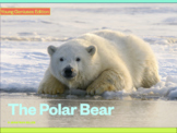 Young Geniuses: The Polar Bear - Online Learning