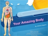 Your Amazing Body