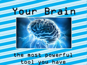 Preview of Your Brain/ The Most Powerful Tool You Have